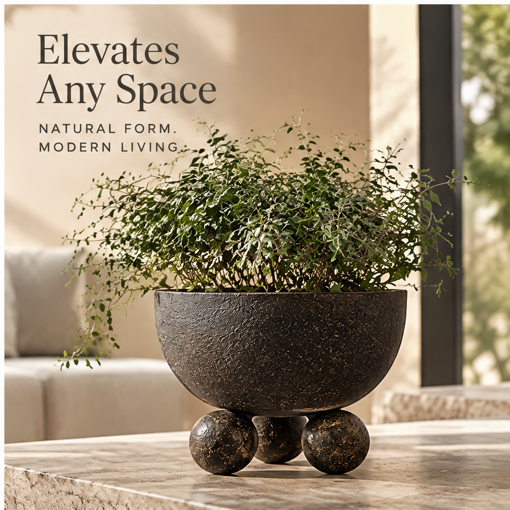 Dark spherical-footed planter styled with spreading green foliage