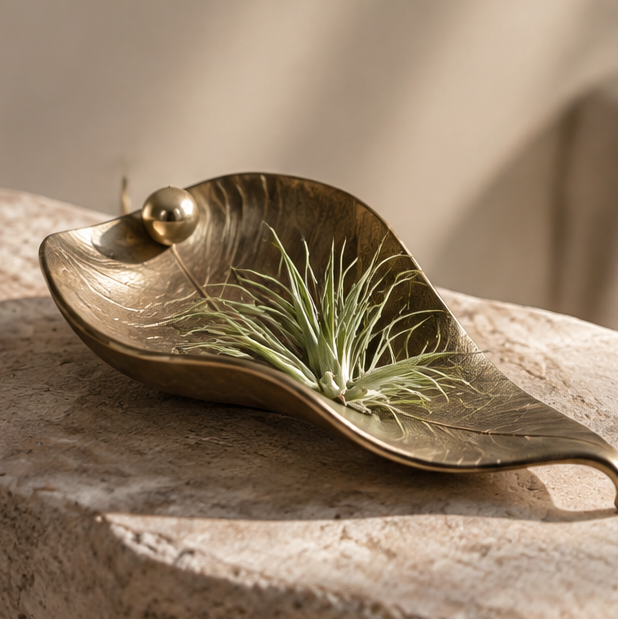 Gold-tone leaf-shaped air plant display tray with vein detailing and spherical accent, without text overlay