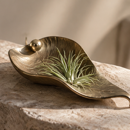 Gold-tone leaf-shaped air plant display tray with vein detailing and spherical accent, without text overlay