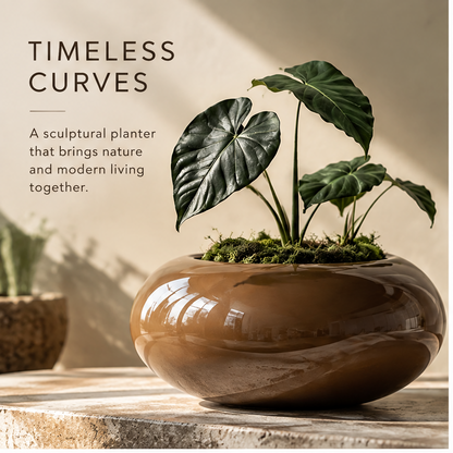 Brown ceramic bowl planter styled with broad green leaves