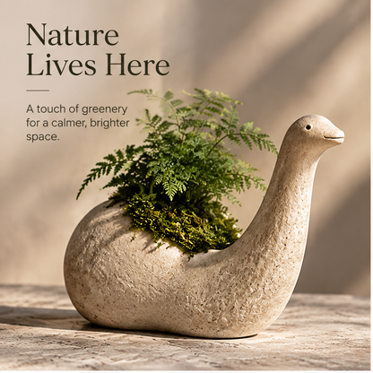 Close-up of the planter's small dark eye, smile and stone-look texture