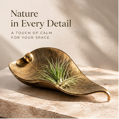 Leaf-shaped air plant tray styled on stacked neutral books