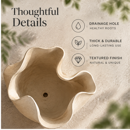 Overhead view of the planter showing its drainage hole and textured interior