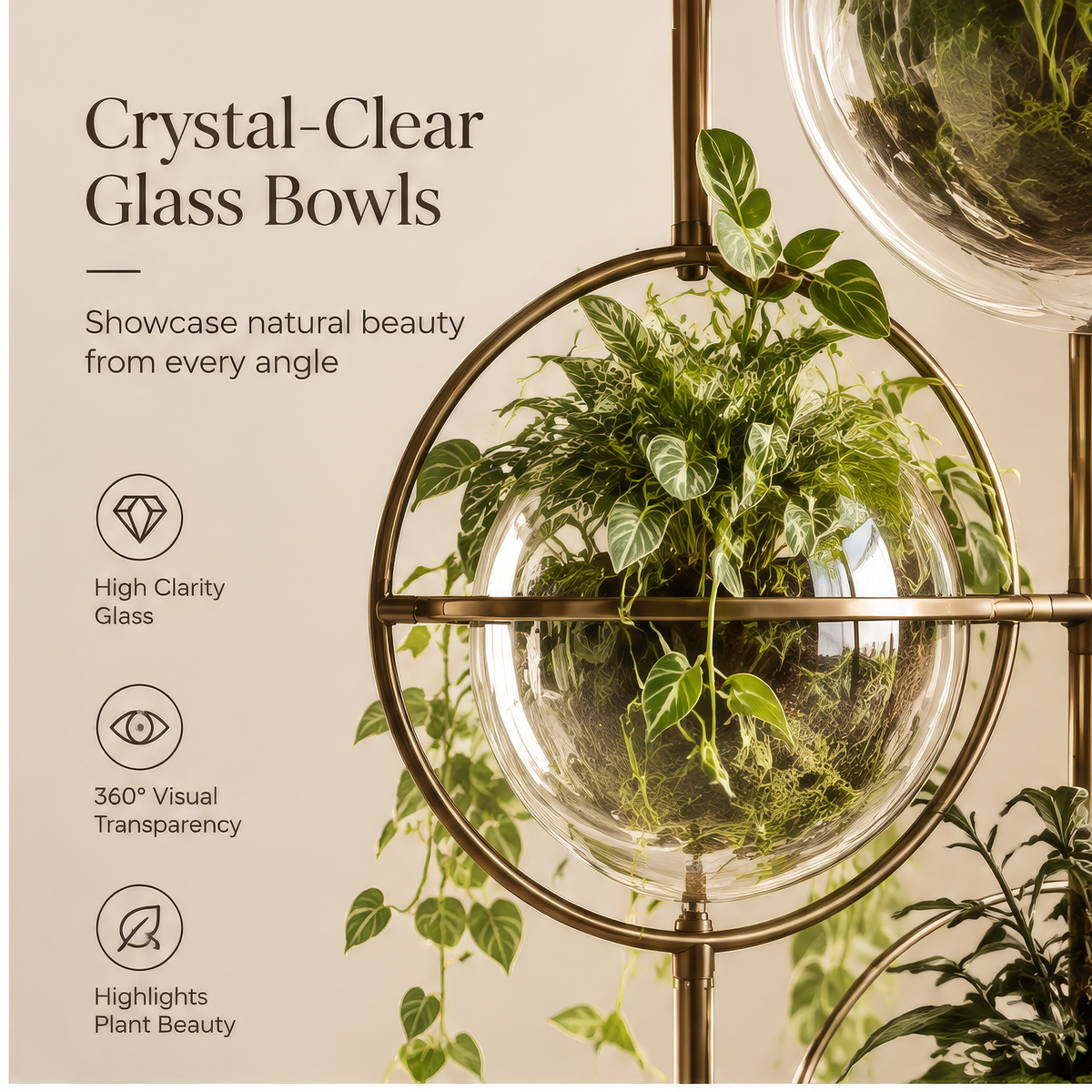 Close-up of a clear glass plant bowl within a gold-tone circular frame