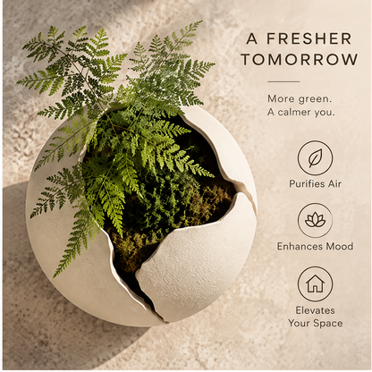 Close-up of the planter's textured cream surface and crack-like shell detailing