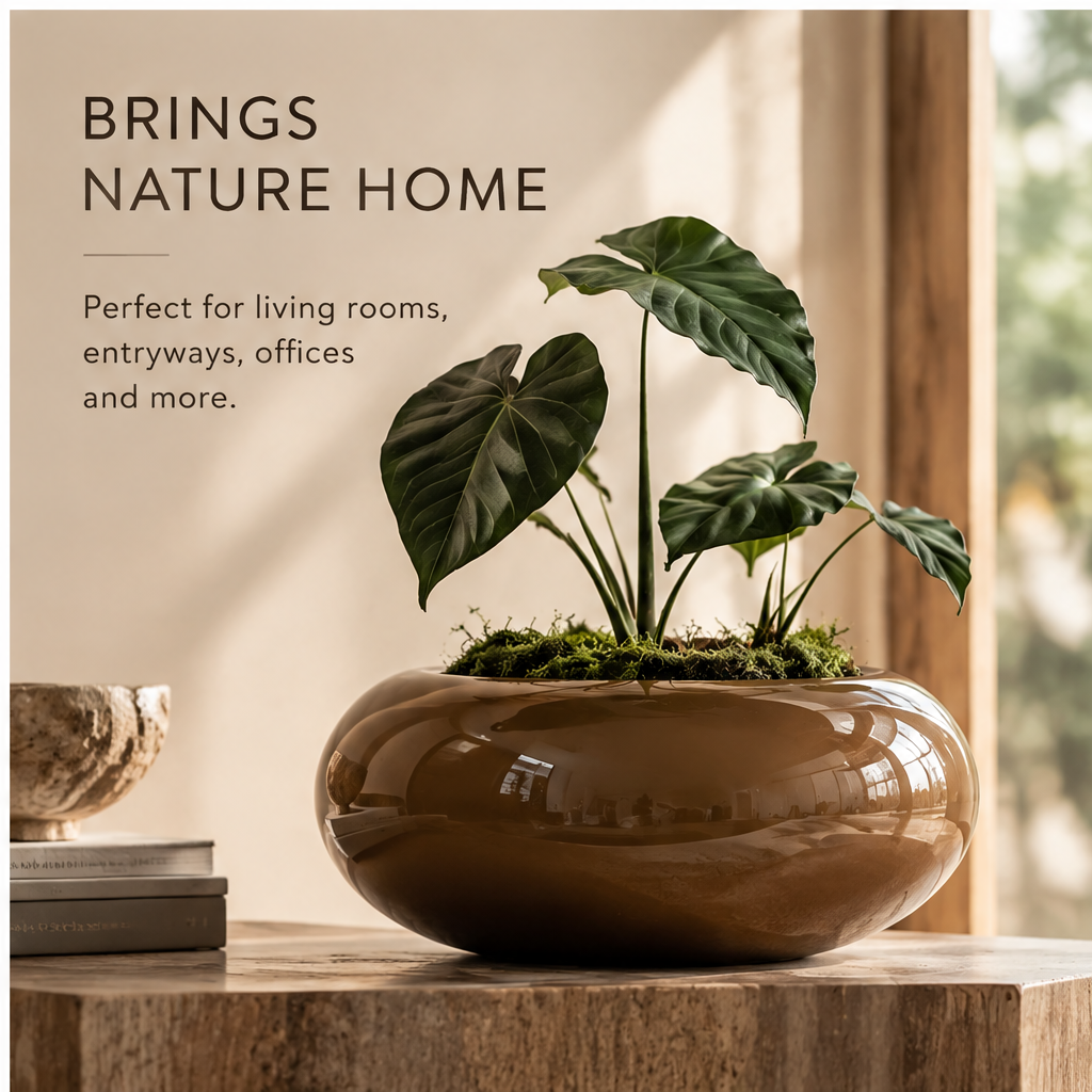 Empty glossy brown bowl planter showing its low rounded silhouette