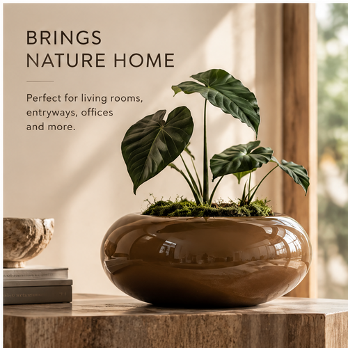 Empty glossy brown bowl planter showing its low rounded silhouette