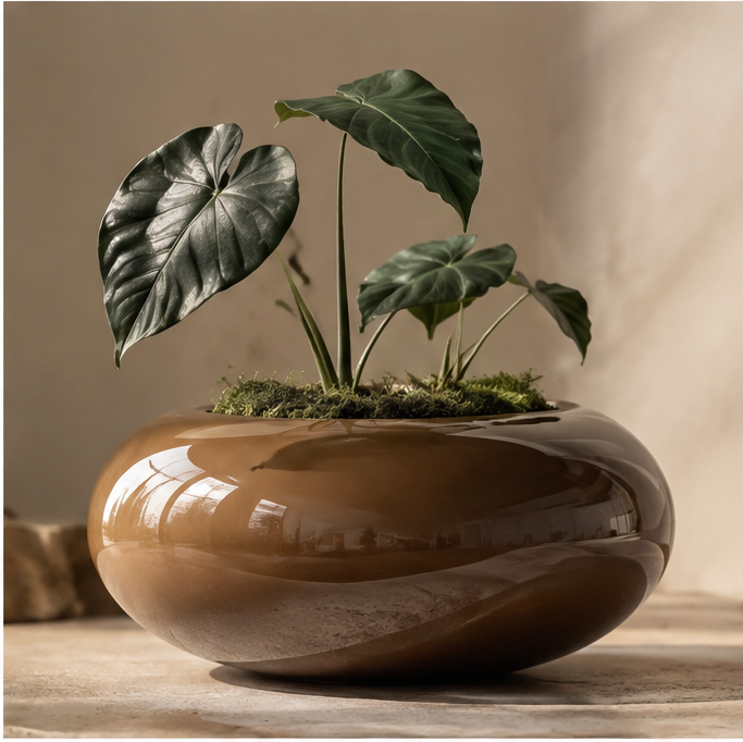 Glossy brown rounded ceramic bowl planter with green foliage, without text overlay