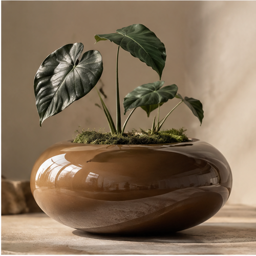Glossy brown rounded ceramic bowl planter with green foliage, without text overlay