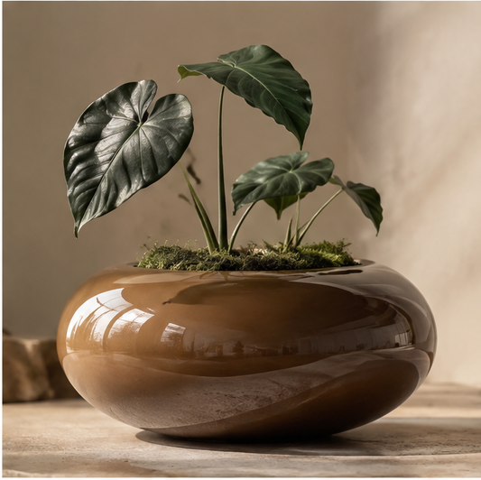 Glossy brown rounded ceramic bowl planter with green foliage, without text overlay